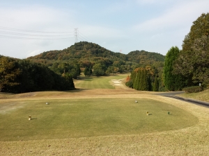 20131117_132904.jpg